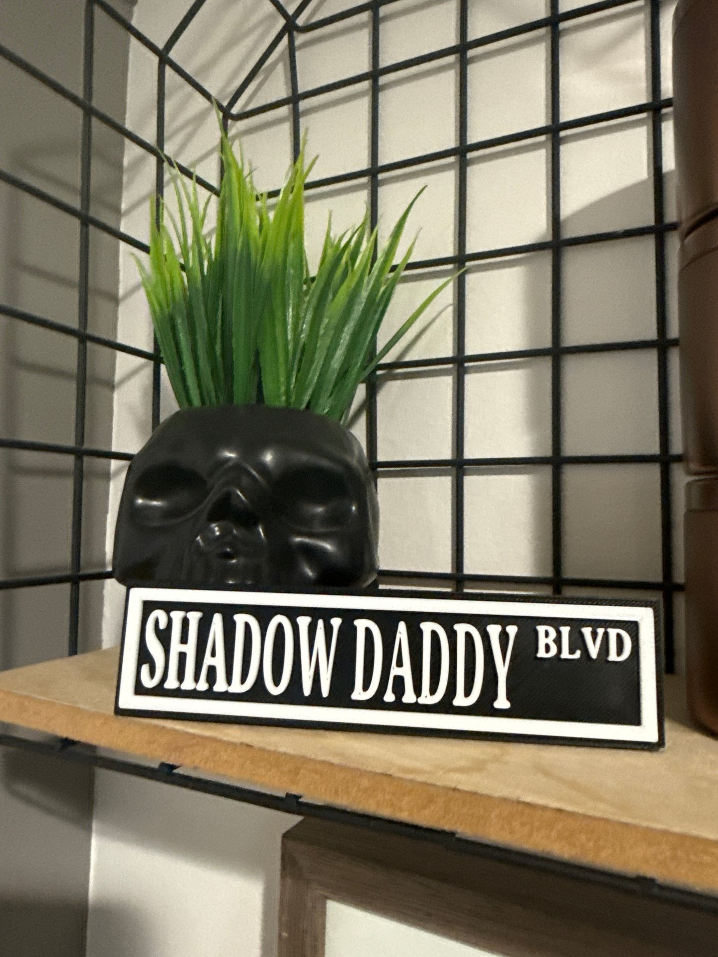Shadow Daddy book shelf decor