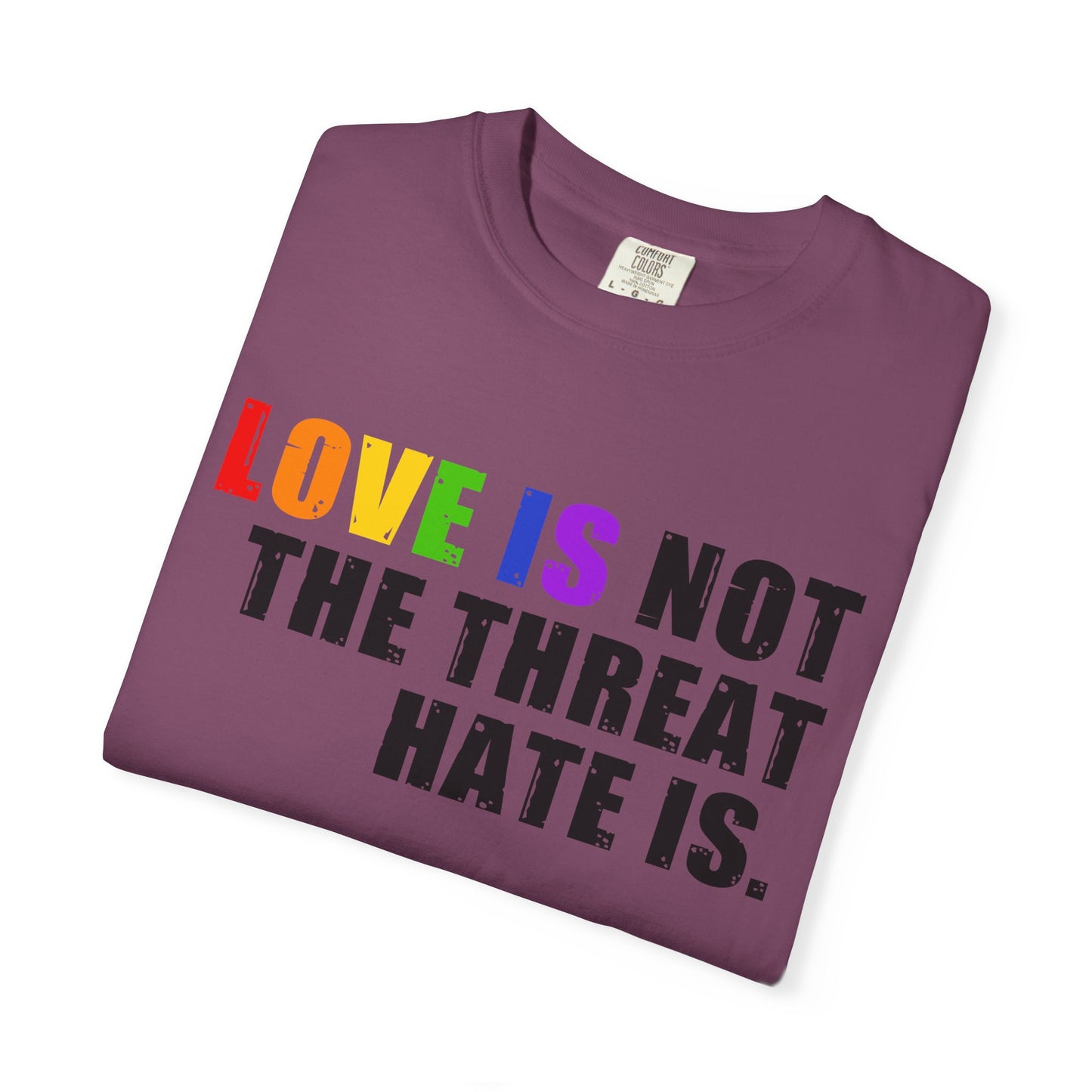 Love Is Not the Threat Hate Is Pride