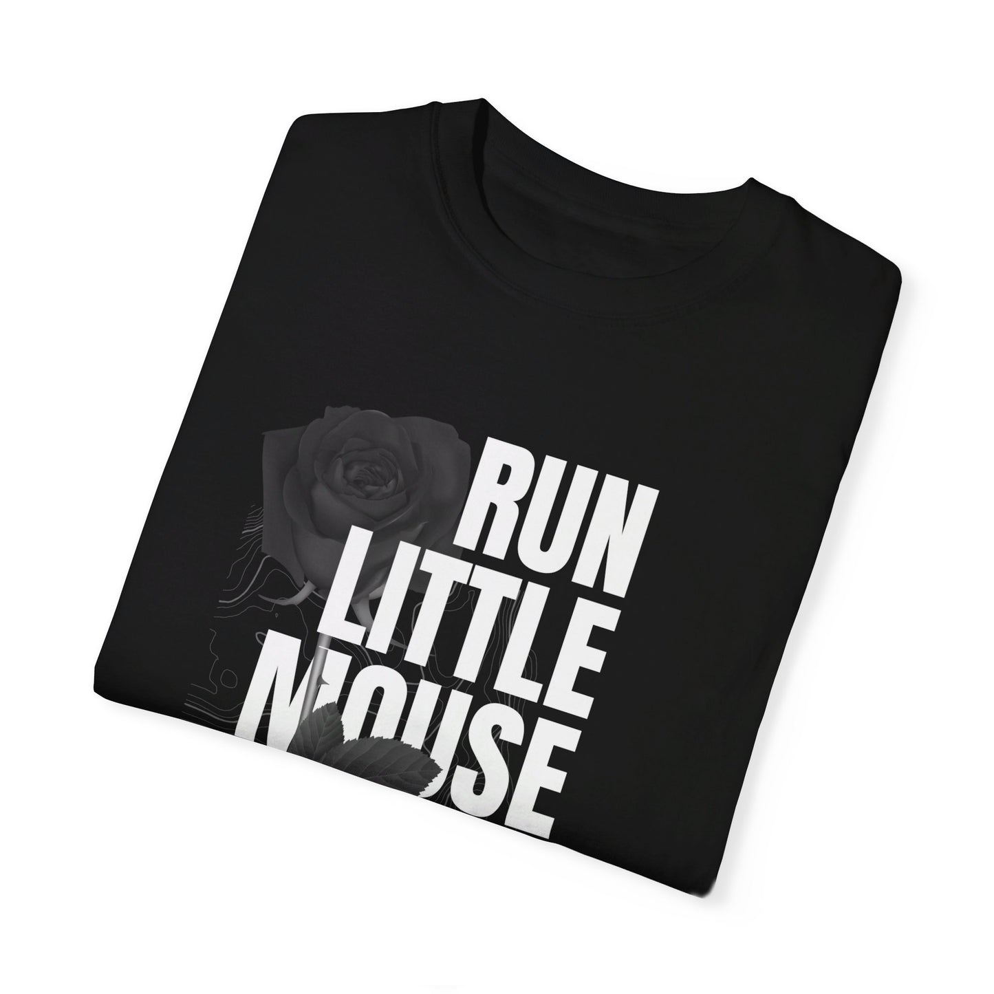 Run Little Mouse